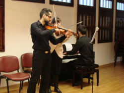 Violino